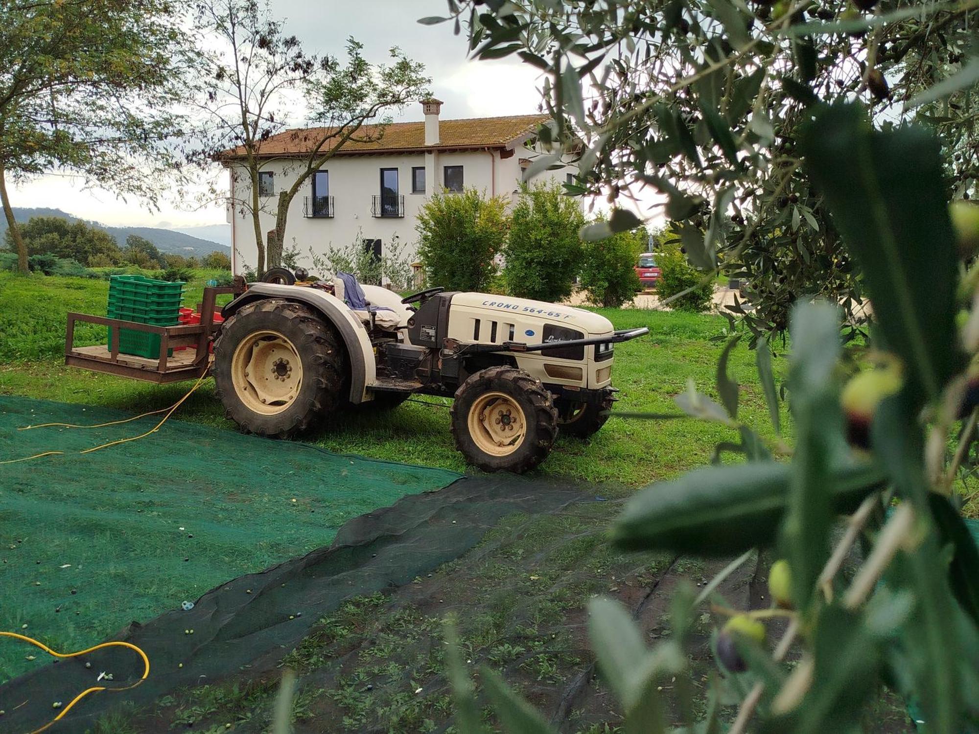 Готель Agriturismo Casale Lisalola Сутрі Екстер'єр фото